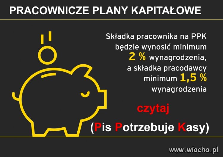 Pracownicze Plany Kapitałowe