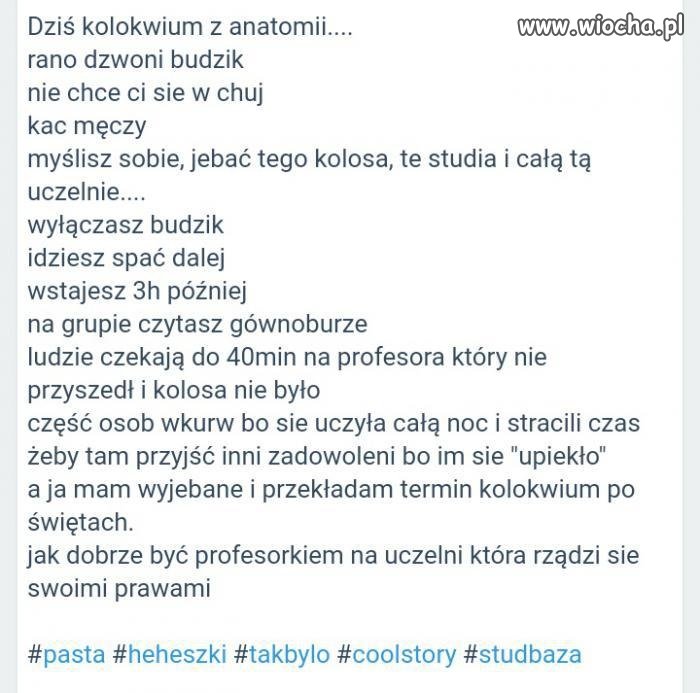 Studia