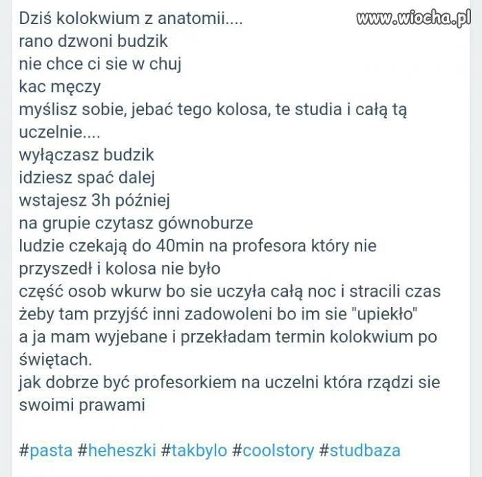 Studia
