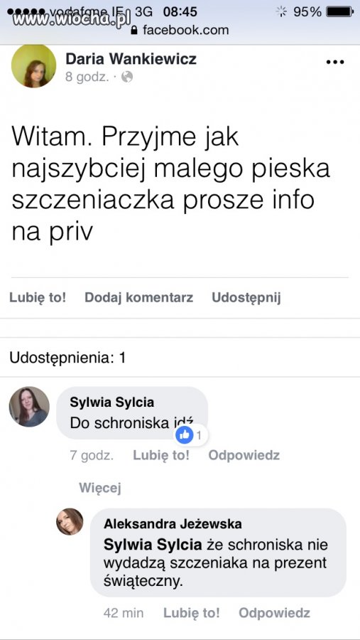 Prezent Świąteczny 