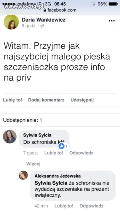 Prezent Świąteczny 