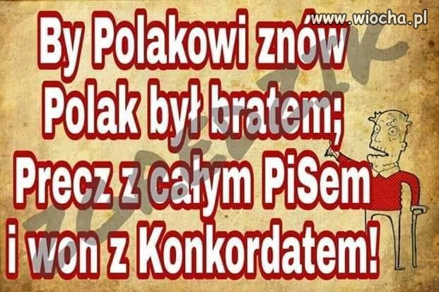 Polak 