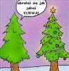 Choinka