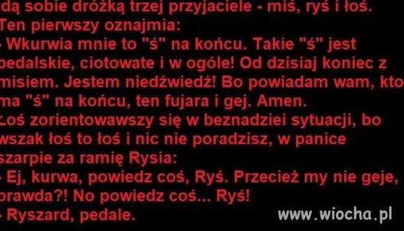 Heheszki