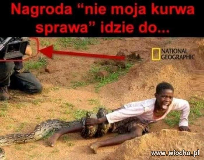Nie wtrącam się