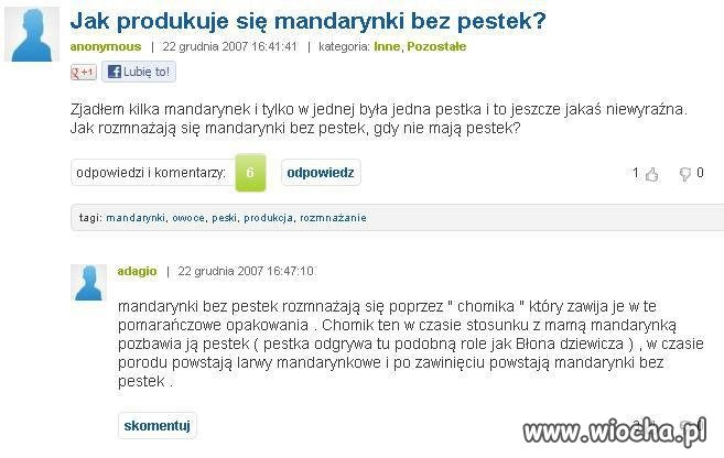 Jak powstają mandarynki...