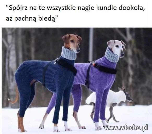 Psia 