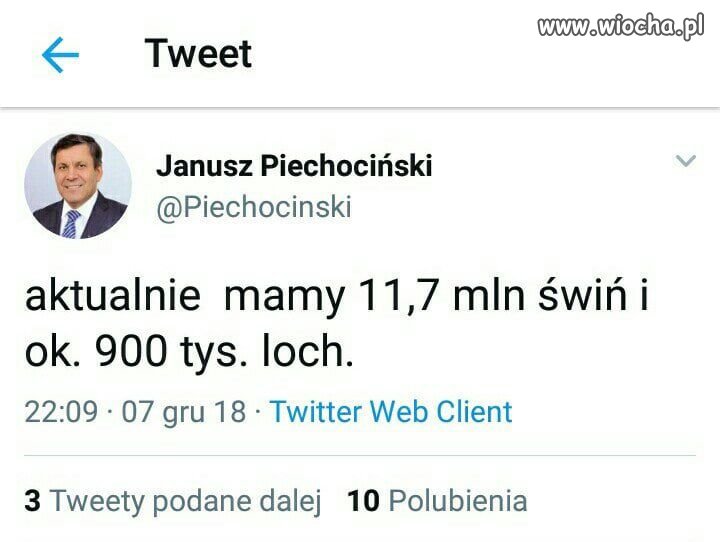 Janusz i Tweet