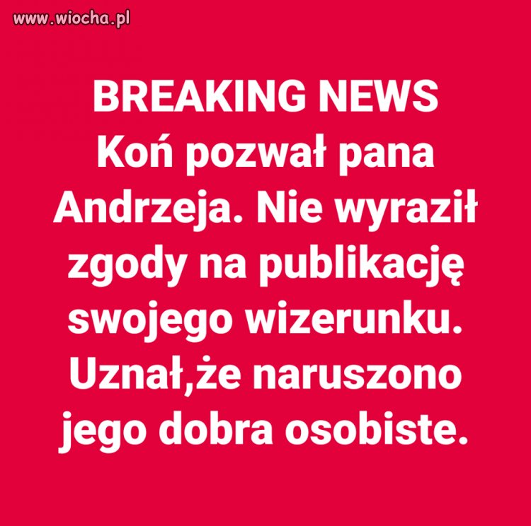 Rodo