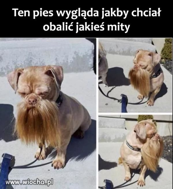 Coś jest