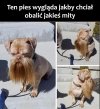 Coś jest