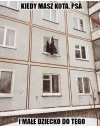 Bezpieczna choinka