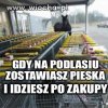 Piesek