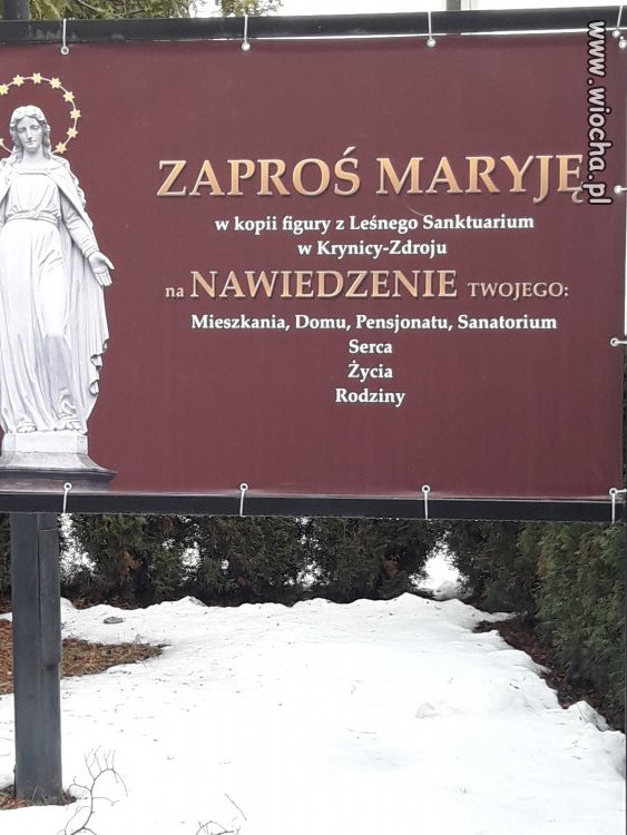 Przed zaproszeniem