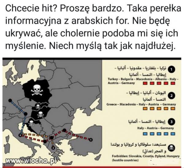 Niech myślą