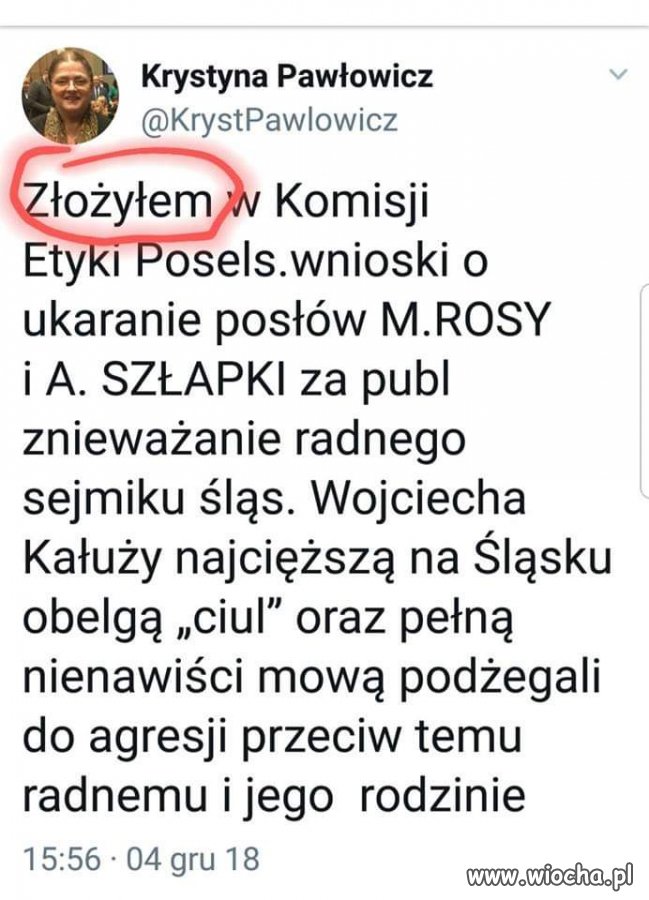 Polska język