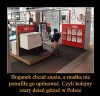 Brajanek w akcji