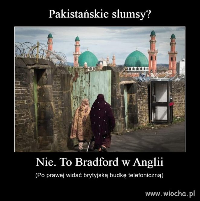 Ale się ciapaki urządziły w tej Anglii