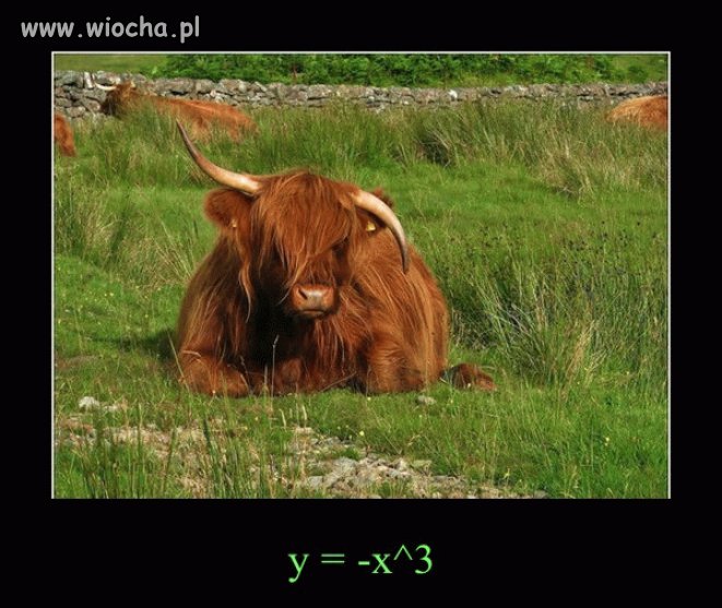 Wyższa matematyka