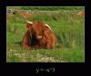 Wyższa matematyka