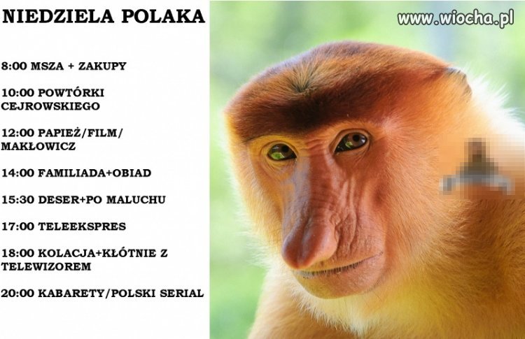 Made in Poland