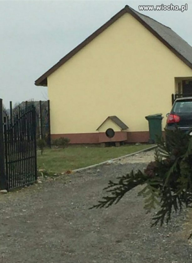 Pieskowi też remont zrobili