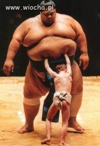 Sumo mania.