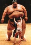 Sumo mania.