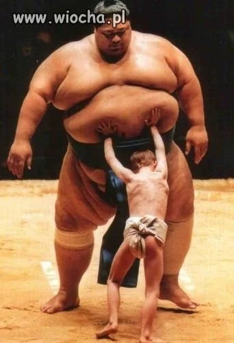 Sumo mania.