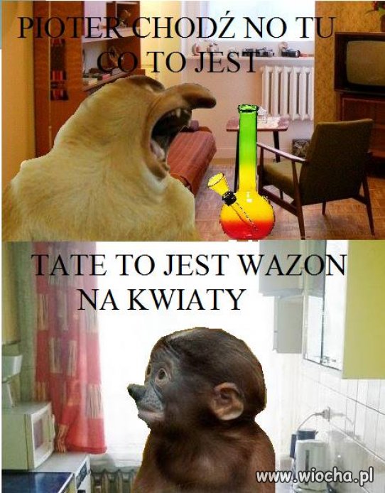 Taki tam wazonik - z życia Janusza i Pjotera