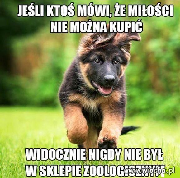 Nic dodać.
