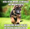 Nic dodać.