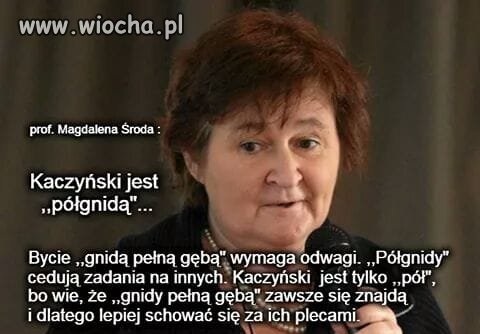 Profesor Środa