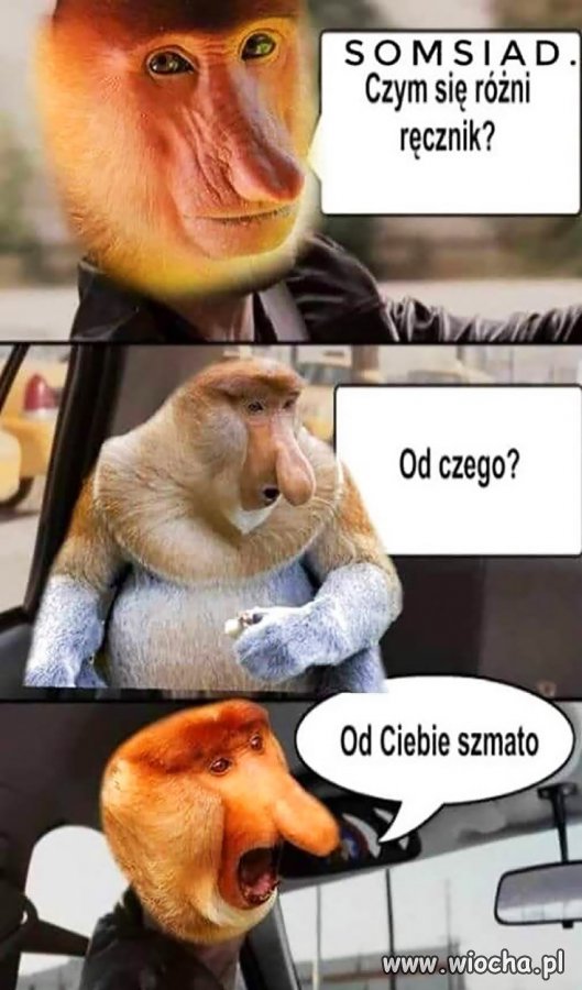 Somsiad