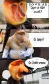 Somsiad