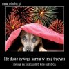 Hipokryzja lvl hard