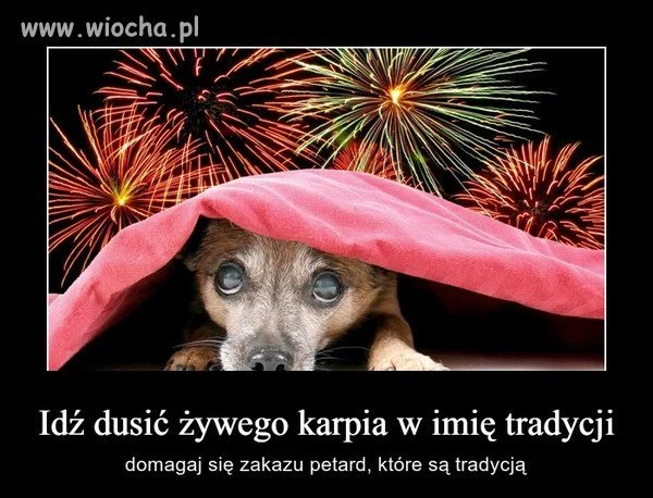 Hipokryzja lvl hard