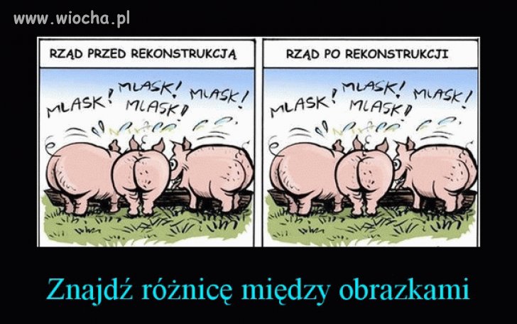 I to nieważne jaki rząd