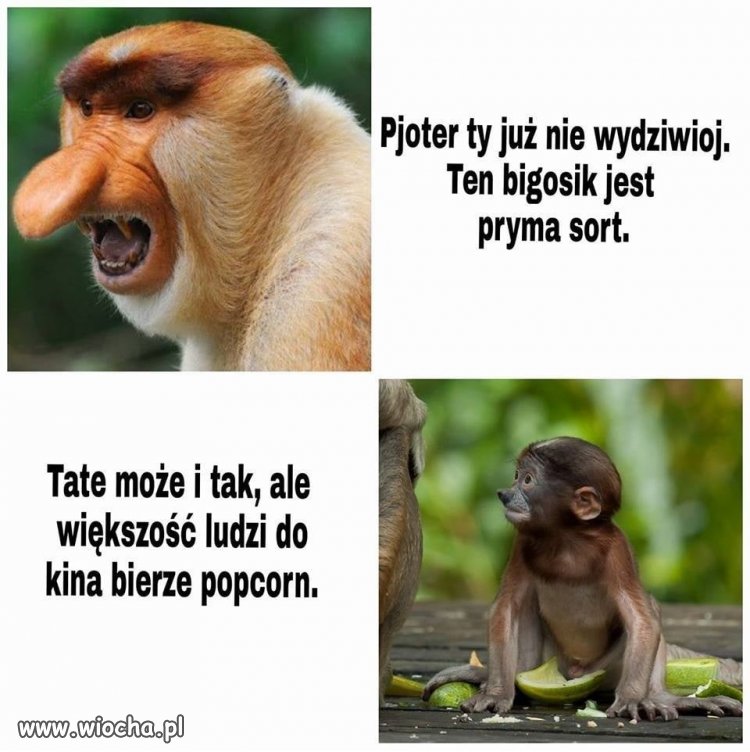 Bigos prima sort