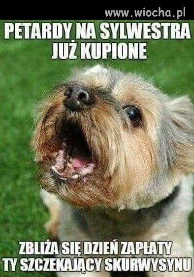 Jak co roku