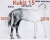 Dokładnie
