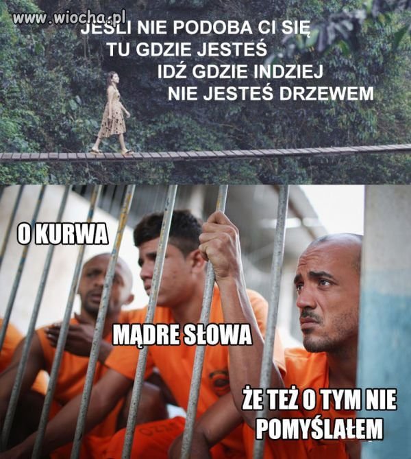 Błyskotliwe sentencje