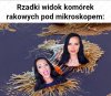 Podobno to są"celebrytki"