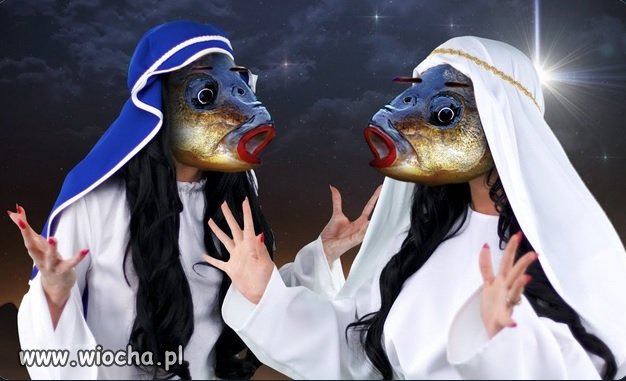 No to czas na karpia po Godlewsku.