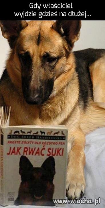 Czasem warto zasięgnąć rady w książce..