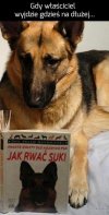 Czasem warto zasięgnąć rady w książce..