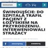 Nietypowy 
