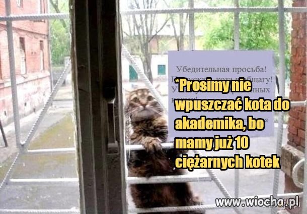 Desperat