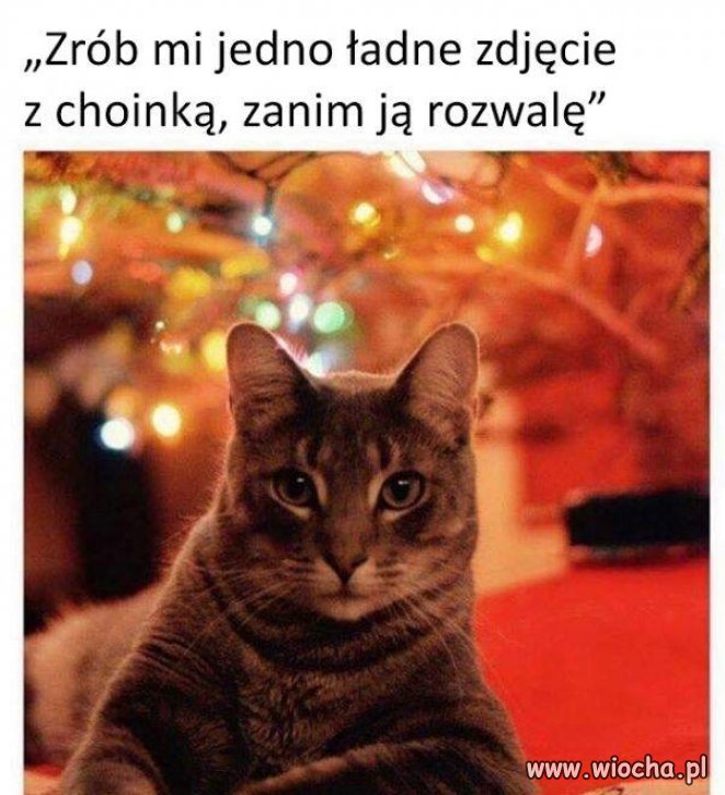 Już niedługo w każdym domu...
