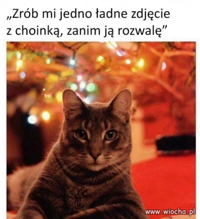 Już niedługo w każdym domu...